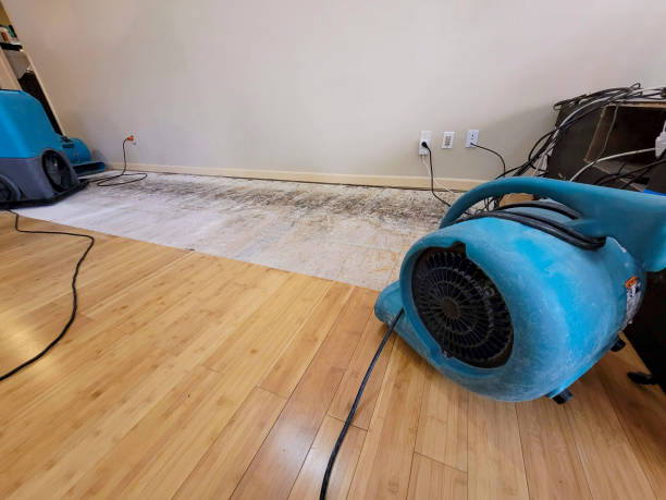 Professional Structural Drying technician working in Haledon, NJ